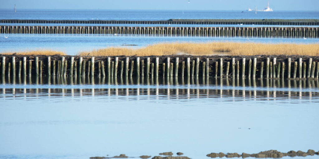 Ferienwohnung finden in Ostfriesland